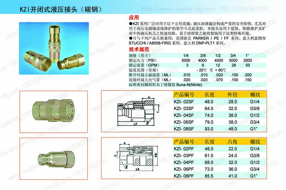 P10-KZI.jpg