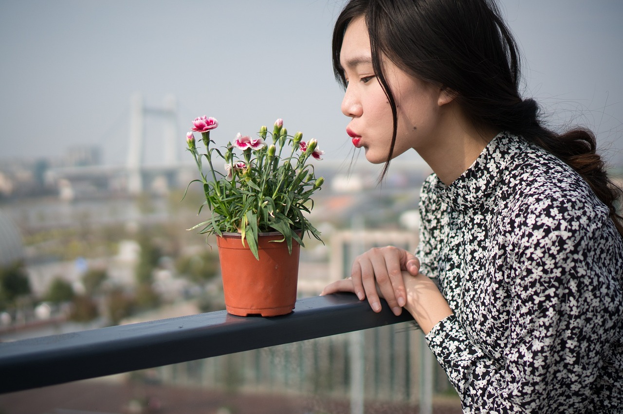 恒源祥女主播的魅力与风采展示